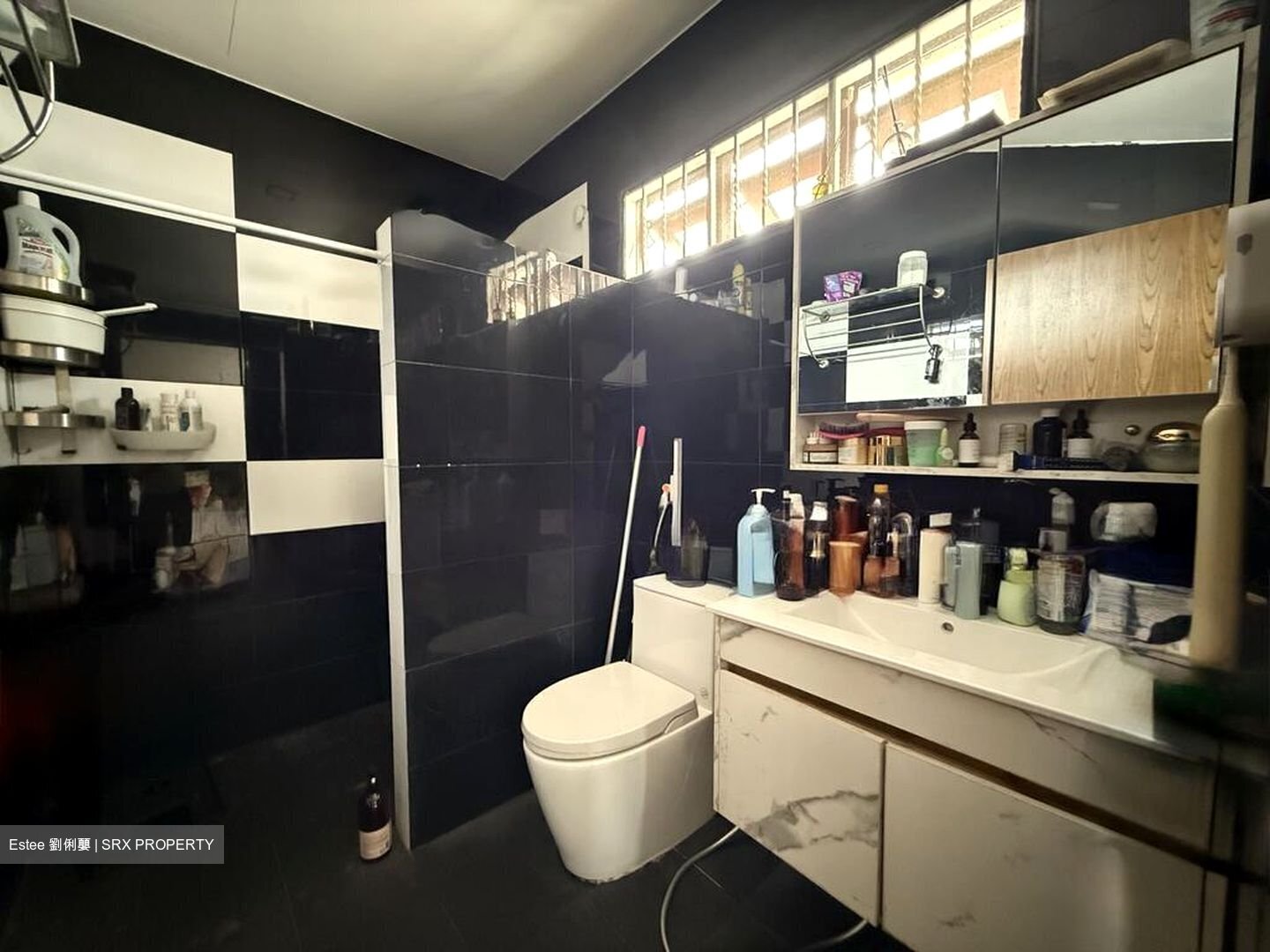 Seletar Hills Estate (D28), Semi-Detached #502231241